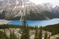vom Aussichtspunkt auf den Peyto Lake