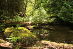 Rundweg um den One Mile Lake