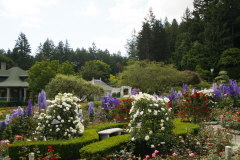 im Rosengarten