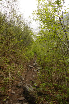Wanderweg zum Emerald Lake Basin