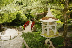 der japanische Garten