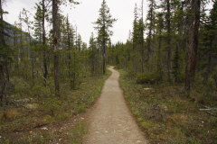 Wanderweg zum Emerald Lake Basin