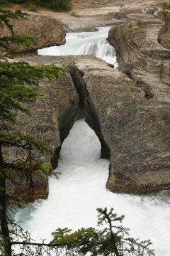 Kicking Horse River zwngt sich durch die Natural Bridge