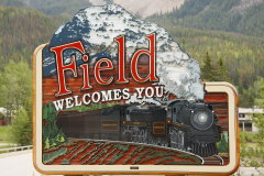 Field im Yoho NP