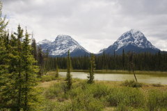 am Icefield Parkway