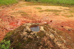 Ray Mineral Springs