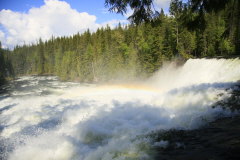 Dawson Falls mit Regenbogen